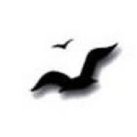 Cape Cod Leather coupons